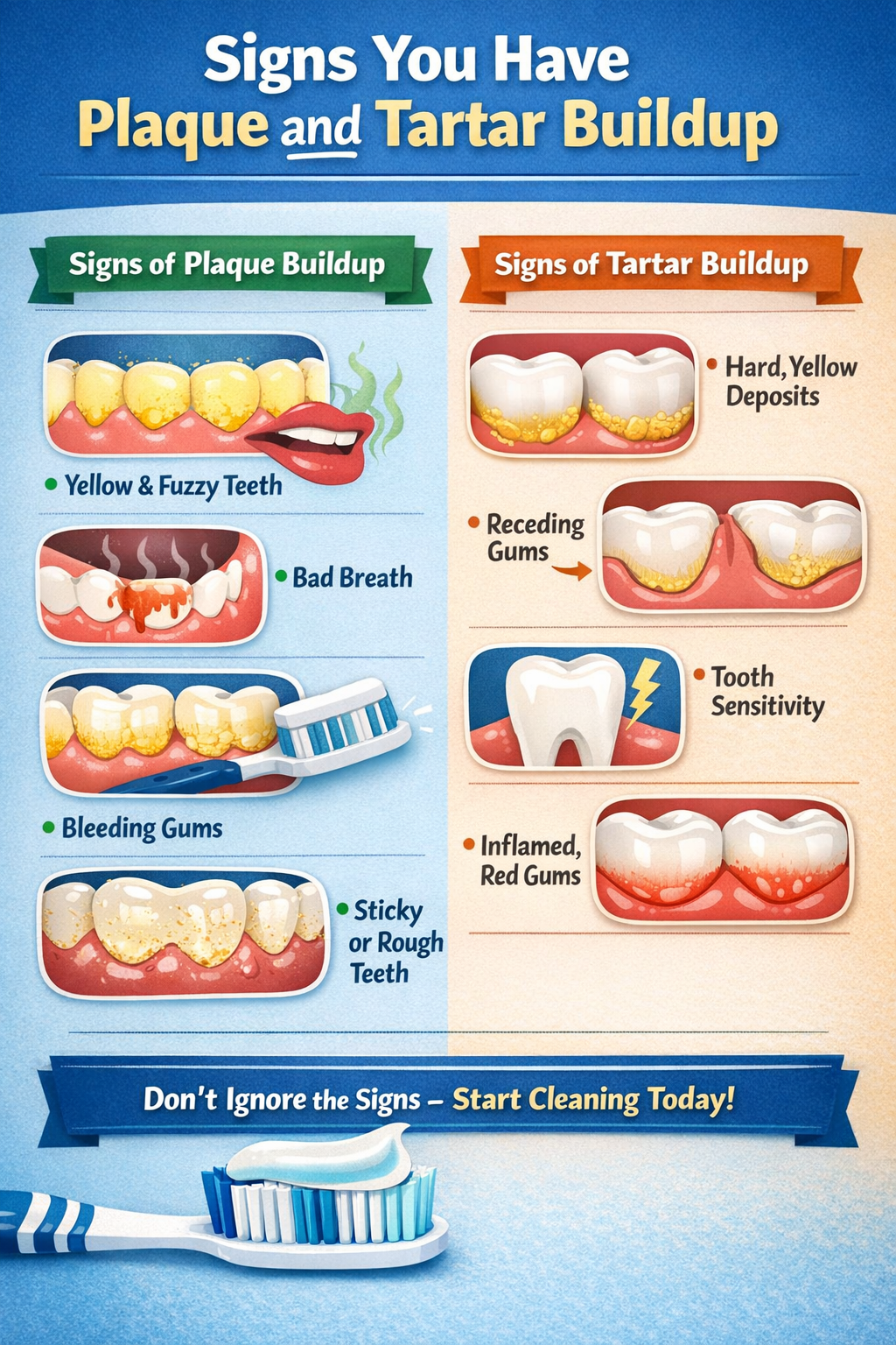 Signs You Have Plaque and Tartar Buildup