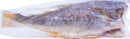 Croaker Fish
