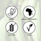 Plantain Cocoyam fufu golden tropics african grocery cassava yam potato fufu light soup grocery