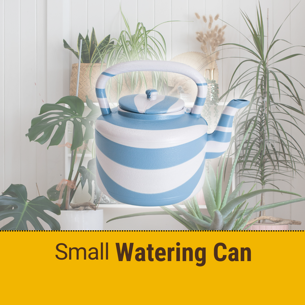 Watering Can/Plastic Kettle/Satala With Handle and Lid | 1 Gallon