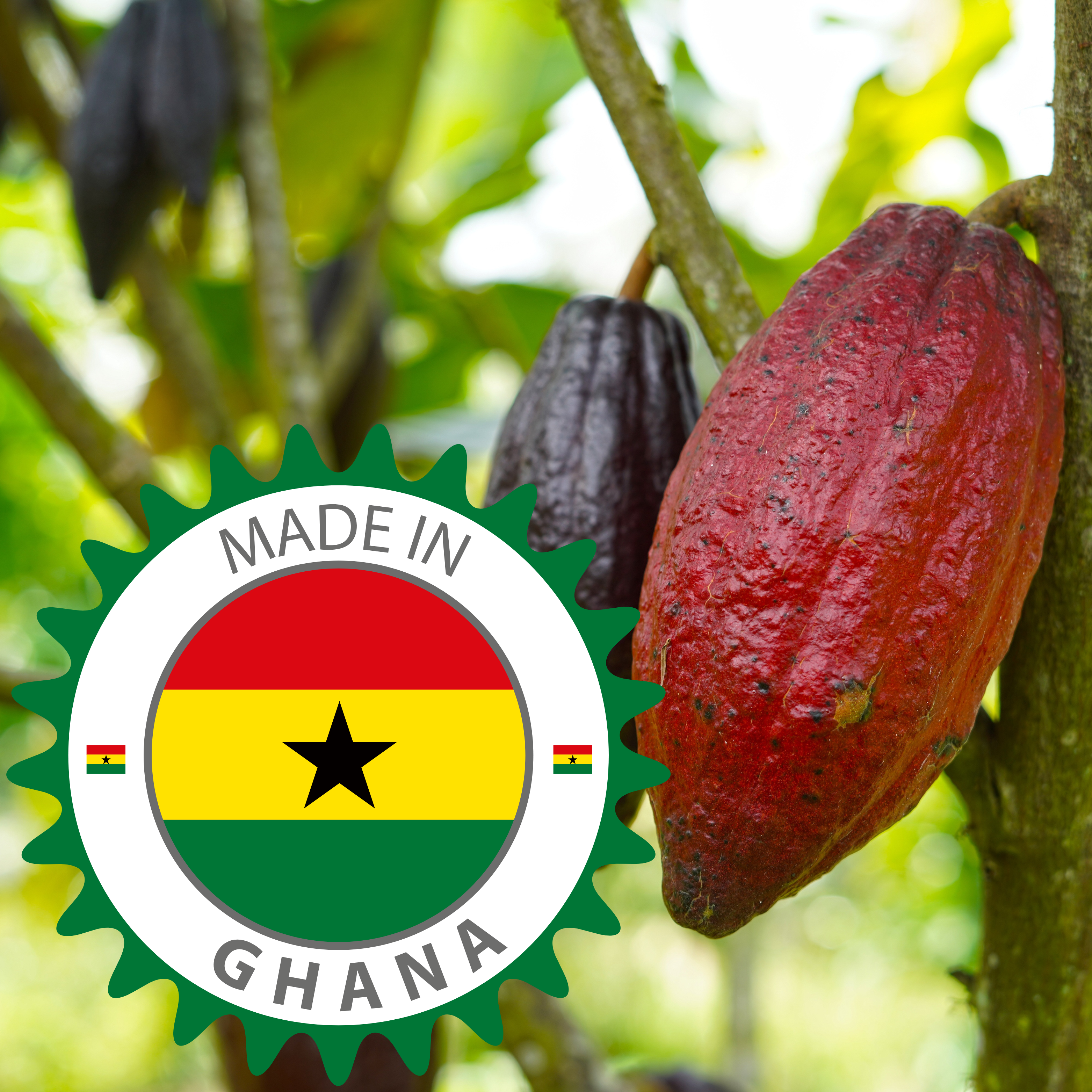 Queen Elizabeth Cocoa Butter