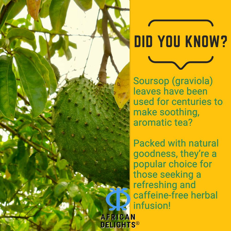 Soursop Leaf
