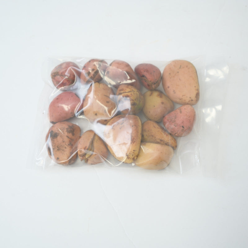 Kolanut