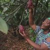 Kingsbite Milk Chocolate Bar Ghana ethically sourced fair trade african cocoa cacao