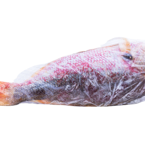 VS1_4008_600x600_crop_center.